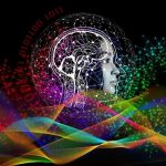 Neuroni matematici identificati nel cervello
