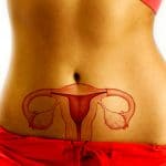 Perimenopausa: può essere predetta da un anticorpo %perimenopausa: può essere predetta da un anticorpocount(title)% Perimenopausa: può essere predetta da un anticorpo