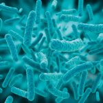 Antibiotici sintetici possono combattere i superbatteri