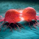Riparazione delle cellule tumorali: bloccare il meccanismo è il nuovo target terapeutico