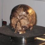 Teschio antico risalente a 2600 anni fa un dono scientifico %teschio antico risalente a 2600 anni fa un dono scientificocount(title)% Teschio antico risalente a 2600 anni fa un dono scientifico