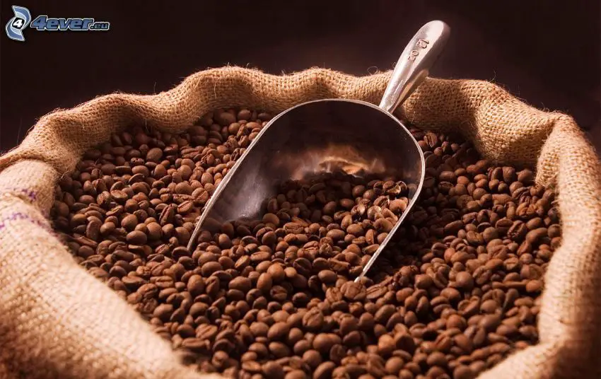 La caffeina nel sangue protegge dal dt2 e dall'aumento del grasso corporeo %la caffeina nel sangue protegge dal dt2 e dall'aumento del grasso corporeocount(title)% La caffeina nel sangue protegge dal dt2 e dall'aumento del grasso corporeo
