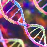 Genoma: generata la prima sequenza al 100%
