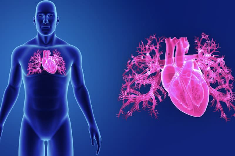 Hypertrophic heart disease