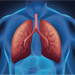 Regolatore epigenetico spiega resistenza ai farmaci del tumore ai polmoni %regolatore epigenetico spiega resistenza ai farmaci del tumore ai polmoni count(title)% Regolatore epigenetico spiega resistenza ai farmaci del tumore ai polmoni