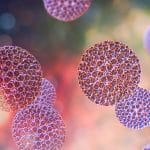 Virus a rna: scoperti oltre 5500 di questi virus nell'oceano %virus a rna: scoperti oltre 5500 di questi virus nell'oceanocount(title)% Virus a rna: scoperti oltre 5500 di questi virus nell'oceano
