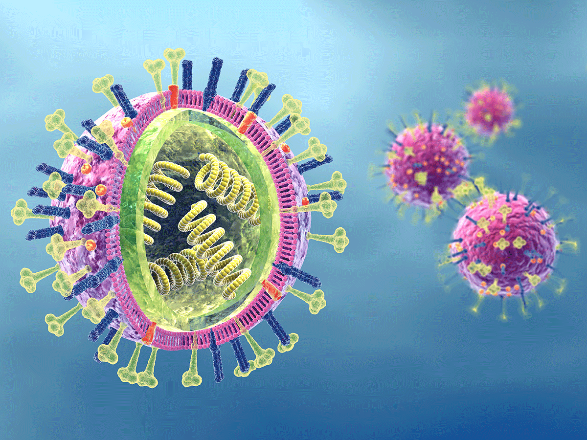 Virus a rna