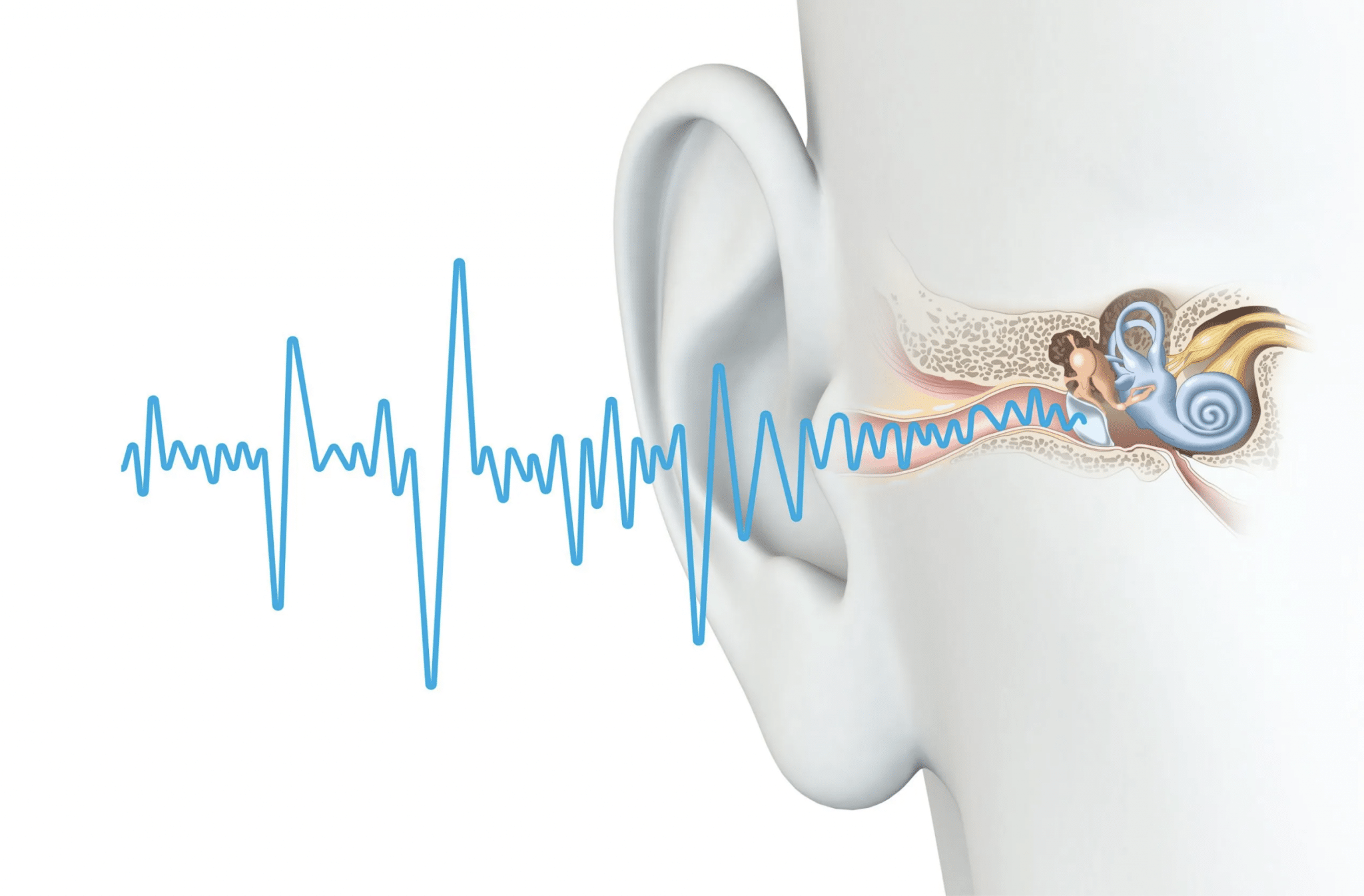 Invertire la perdita dell'udito, sordità ereditaria 