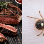 Sindrome alpha-gal: dire addio a quasi il 100% della carne %sindrome alpha-gal: dire addio a quasi il 100% della carnecount(title)% Sindrome alpha-gal: dire addio a quasi il 100% della carne