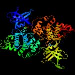 Riduzione della tau: nuova terapia per epilessia autismo e alzheimer %riduzione della tau: nuova terapia per epilessia autismo e alzheimercount(title)% Riduzione della tau: nuova terapia per epilessia autismo e alzheimer