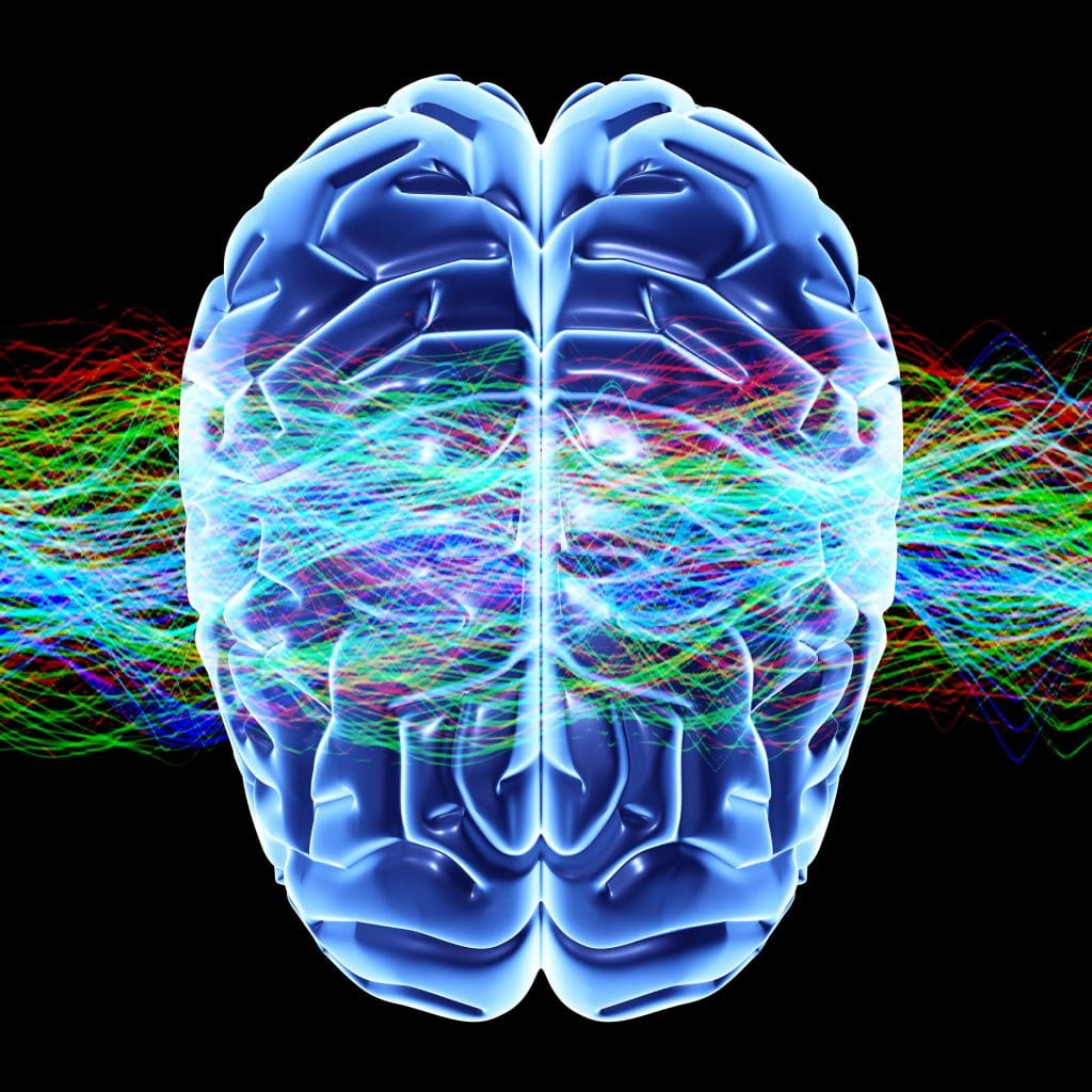 Il cervello umano invecchia meno di quanto pensi e lo fa “a strati” %il cervello umano invecchia meno di quanto pensi e lo fa “a strati”count(title)% Sinestesia tattile-speculare