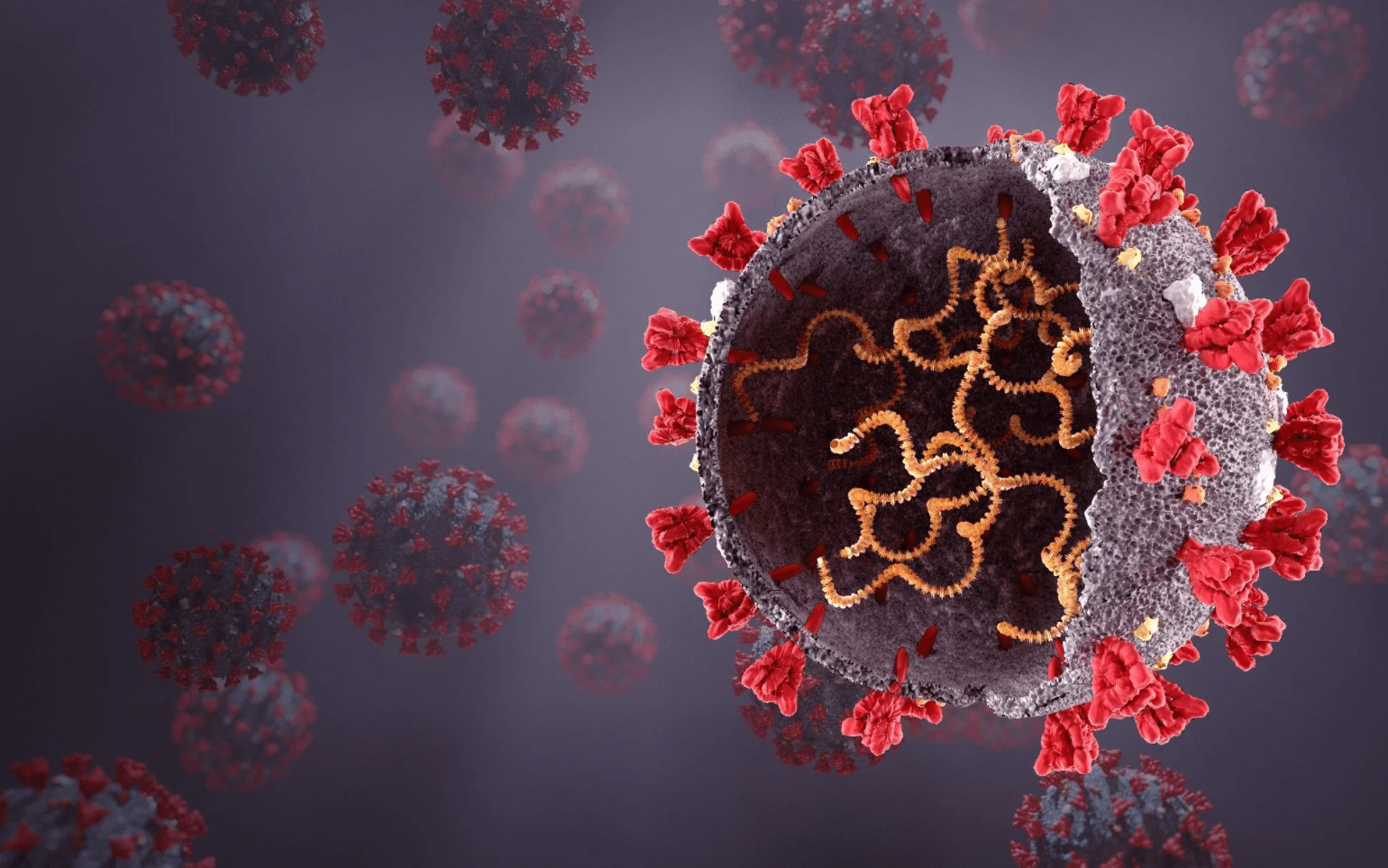 Virus a rna