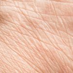 Pelle: cellule 30 anni più giovani, la ricerca %pelle: cellule 30 anni più giovani, la ricercacount(title)% Pelle: cellule 30 anni più giovani, la ricerca