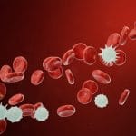 Linfociti b: cambiamento significativo nelle donne con ppd