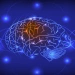Neurotrasmettitore wireless per gestire i disturbi neurologici %neurotrasmettitore wireless per gestire i disturbi neurologicicount(title)% Neurotrasmettitore wireless per gestire i disturbi neurologici