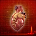Mavacamten: efficace in circa l'80% dei pazienti con cardiopatia ipertrofica