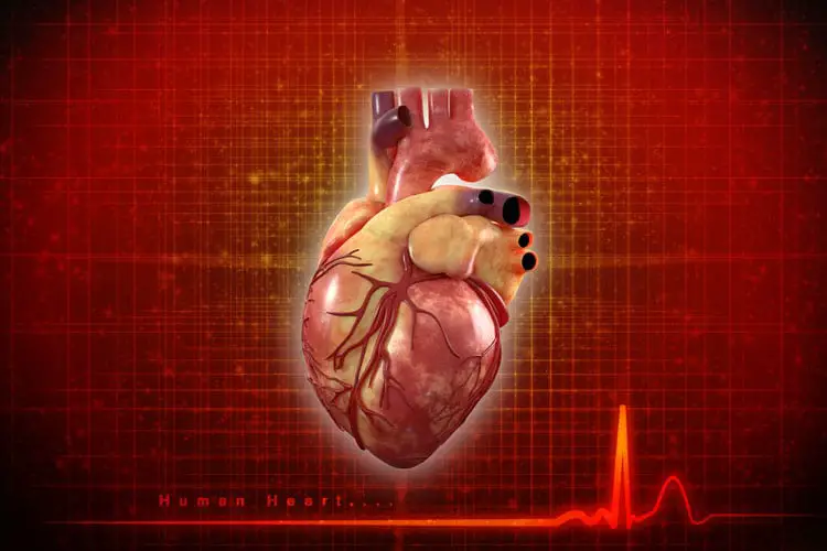 Mavacamten: efficace in circa l'80% dei pazienti con cardiopatia ipertrofica