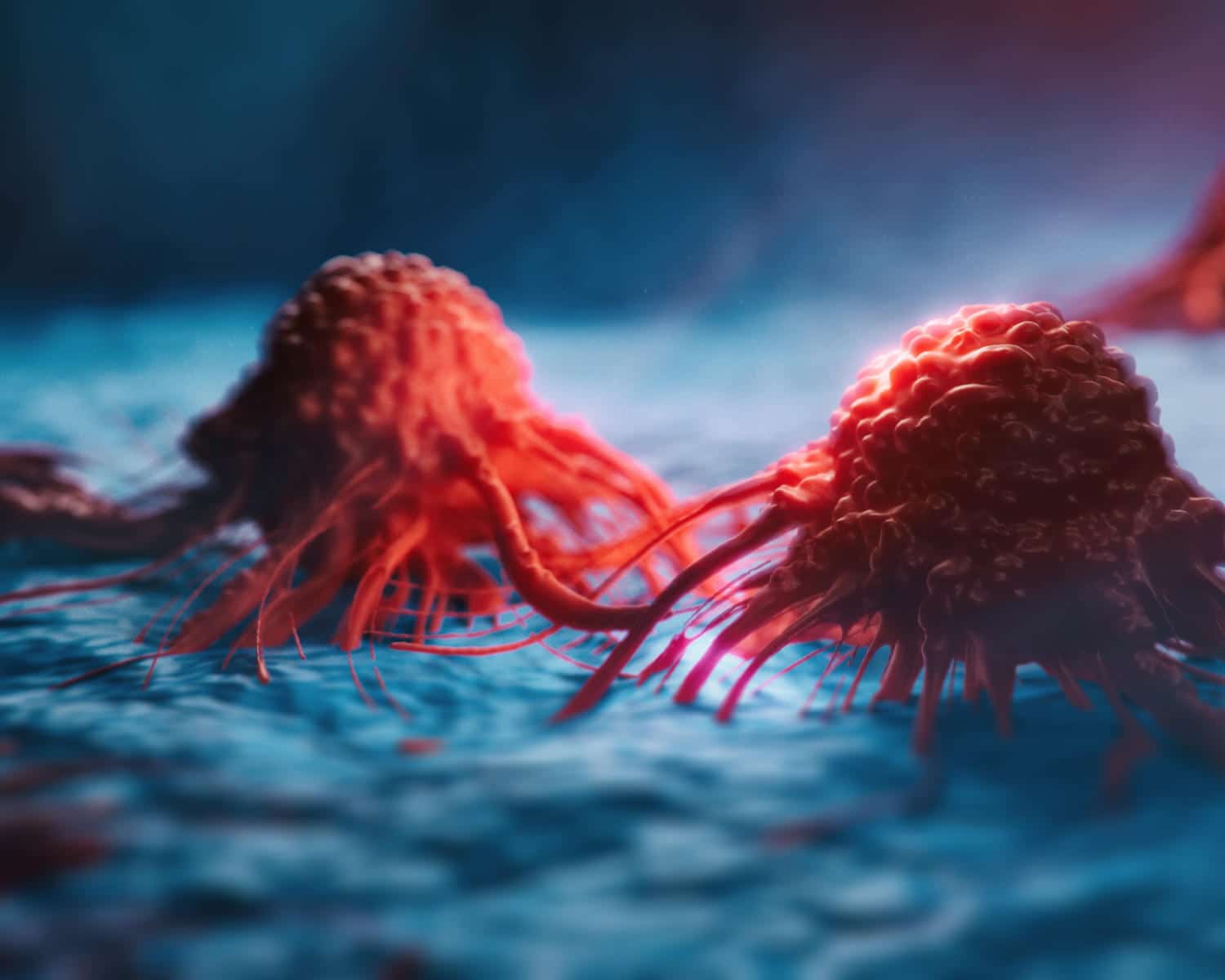 Cancro: una lipoproteina sintetica uccide le cellule tumorali