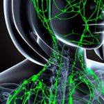 Sviluppata guaina robotica per il trattamento del linfedema %sviluppata guaina robotica per il trattamento del linfedemacount(title)% Sviluppata guaina robotica per il trattamento del linfedema