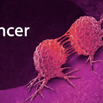 Lotta contro il cancro: salmonella nell'83% di topi funziona %lotta contro il cancro: salmonella nell'83% di topi funzionacount(title)% Lotta contro il cancro: salmonella nell'83% di topi funziona