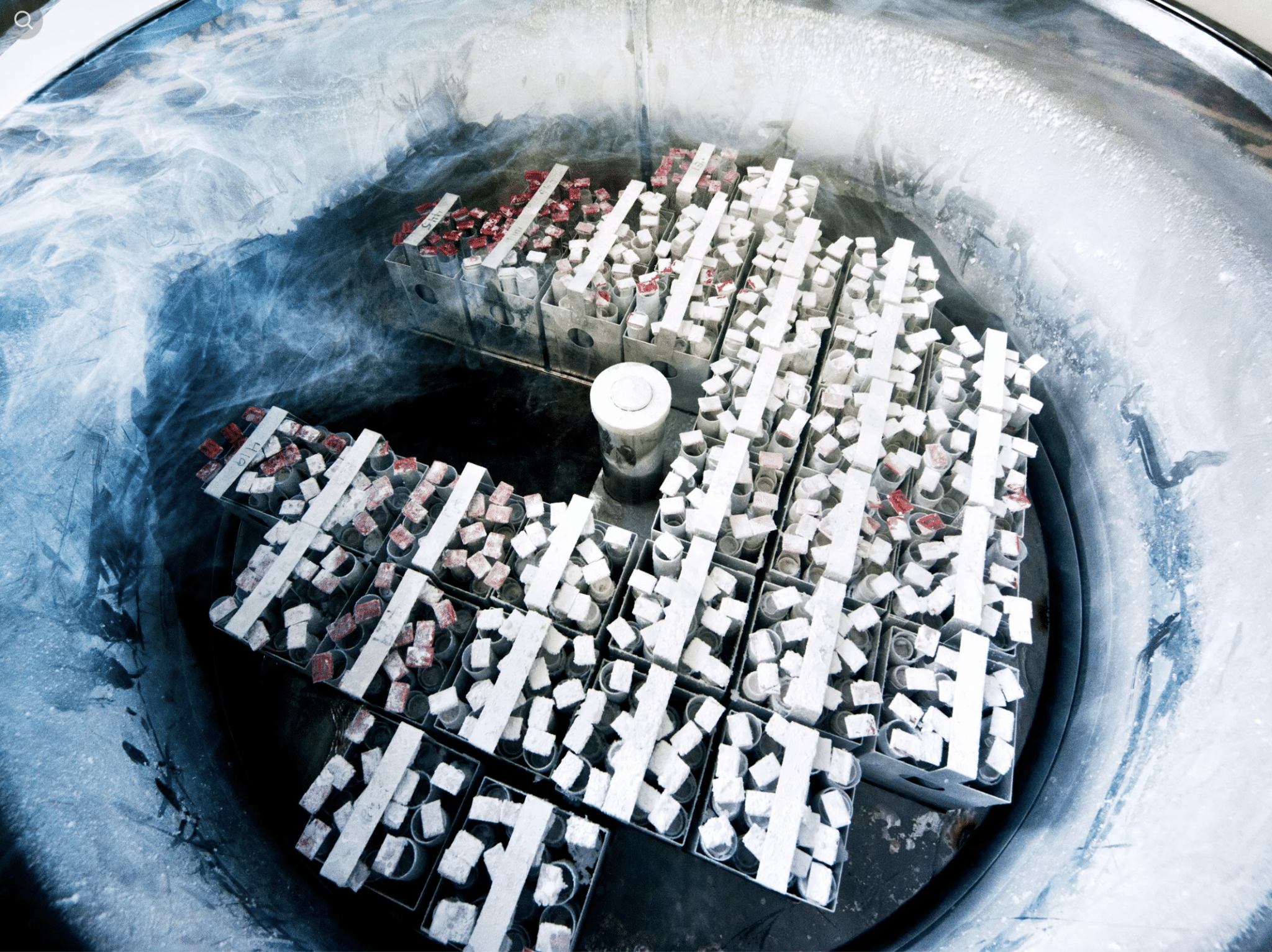 Freezing of eggs