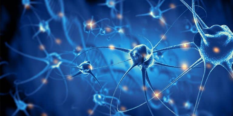 Alzheimer ad esordio giovanile, ologrammi acustici, meccanismo cerebrale