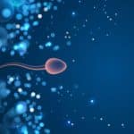 Mutazioni genetiche nella prole ricondotte allo sperma paterno %mutazioni genetiche nella prole ricondotte allo sperma paternocount(title)% Mutazioni genetiche nella prole ricondotte allo sperma paterno