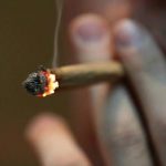 Marijuana: può scatenare patologie cardiache %marijuana: può scatenare patologie cardiachecount(title)% Marijuana: può scatenare patologie cardiache