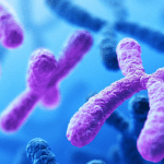 Cellule tumorali: scoperta mutazione che le fa crescere %cellule tumorali: scoperta mutazione che le fa crescerecount(title)% Cellule tumorali: scoperta mutazione che le fa crescere