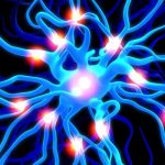 Glioblastoma multiforme: in arrivo nuovi approcci terapeutici %glioblastoma multiforme: in arrivo nuovi approcci terapeuticicount(title)% Glioblastoma multiforme: in arrivo nuovi approcci terapeutici