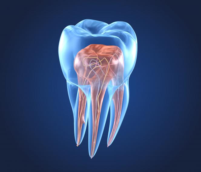 ricrescere i denti | 
 Nanobot elicoidali