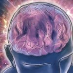 Cervello: come risponde a eventi che ci sorprendono %cervello: come risponde a eventi che ci sorprendonocount(title)% Cervello: come risponde a eventi che ci sorprendono