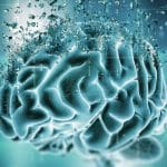 Morbo di alzheimer: fermato prima che inizi grazie a nuovi scudi genetici