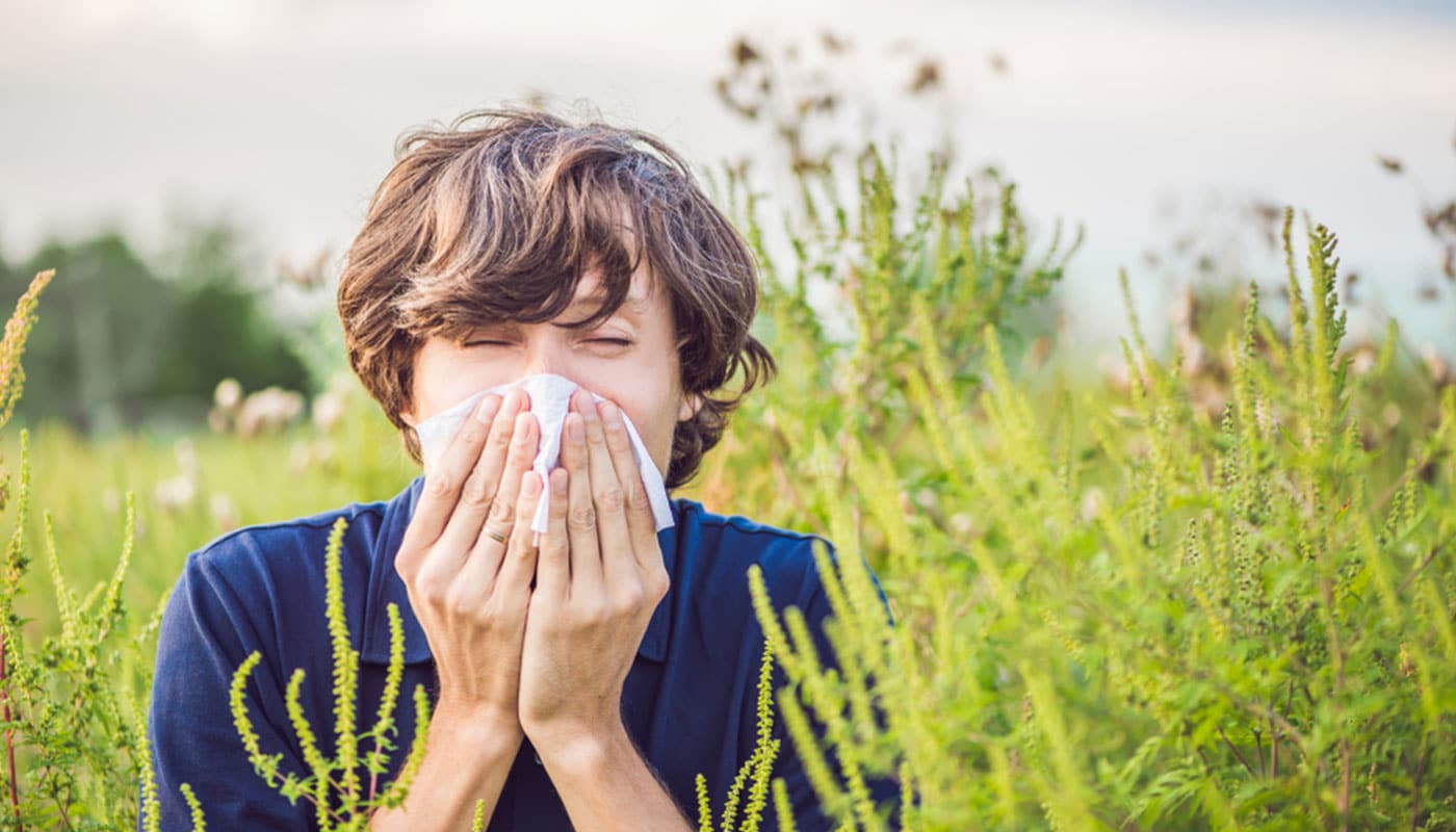 Allergie stagionali, influenza