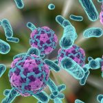 Cbass: come i batteri trasformano l’arma dei virus in difesa
