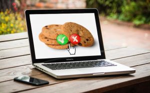 Privacy su internet: cookies