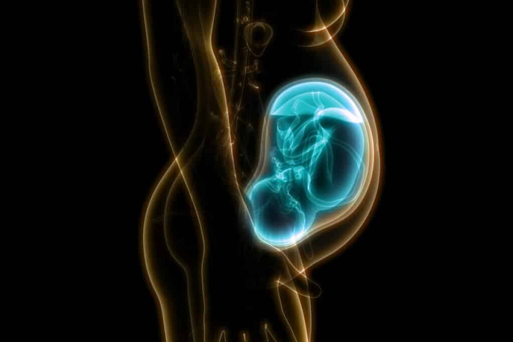 Esposizione prenatale, neonati 