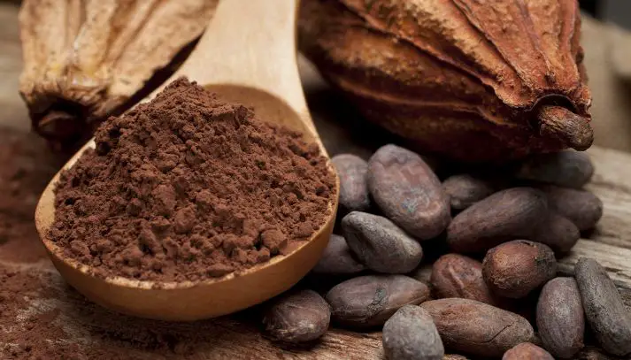 flavanoli del cacao
