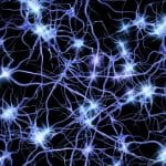 Parlare nella mente: il cervello usa una mappa motoria condivisa? %parlare nella mente: il cervello usa una mappa motoria condivisa? Count(title)% Parlare nella mente: il cervello usa una mappa motoria condivisa?