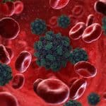 Proteine oscure: cosa sono i peptideins appena scoperti