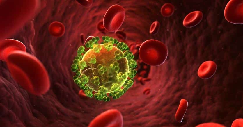 Anticorpi neutralizzanti, HIV