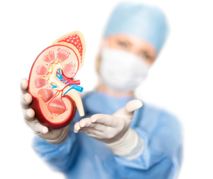Blood type, kidney transplant