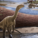 Mbiresaurus raathi: vissuto oltre 230 milioni di anni fa %mbiresaurus raathi: vissuto oltre 230 milioni di anni facount(title)% Mbiresaurus raathi: vissuto oltre 230 milioni di anni fa