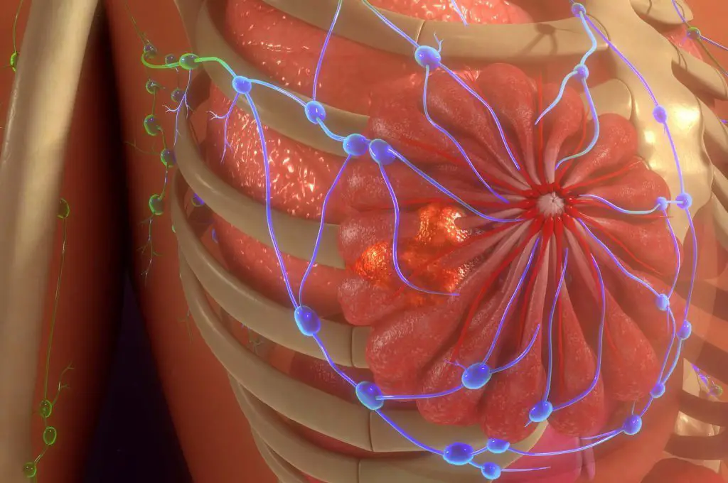 Egfr, breast cancer