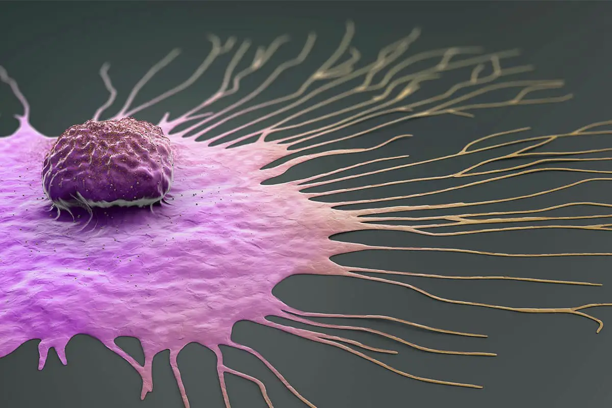 Progetto tumor profiler: 9 metodi molecolari rivoluzionano la cura dei tumori complessi