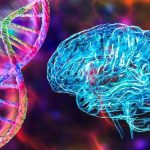La personalità è scritta nel dna? Cosa rivelano 1. 260 varianti genetiche %la personalità è scritta nel dna? Cosa rivelano 1. 260 varianti genetichecount(title)% La personalità è scritta nel dna? Cosa rivelano 1. 260 varianti genetiche