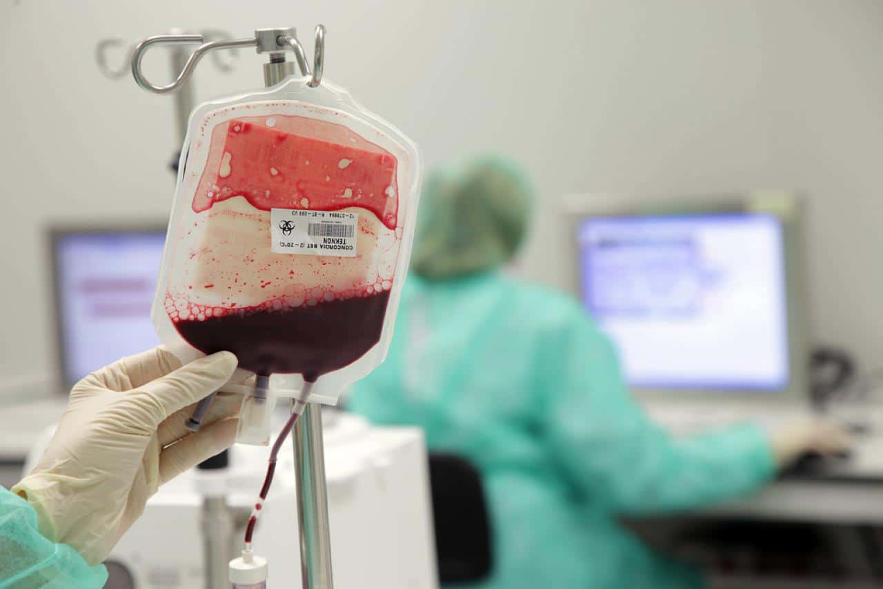 Sangue prodotto in laboratorio