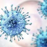 Virus antichi: scoperto uno risalente a 48500 anni fa %virus antichi: scoperto uno risalente a 48500 anni facount(title)% Virus antichi: scoperto uno risalente a 48500 anni fa