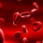 Sangue prodotto in laboratorio: 1º trapianto effettuato %sangue prodotto in laboratorio: 1º trapianto effettuatocount(title)% Sangue prodotto in laboratorio: 1º trapianto effettuato