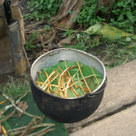 Ayahuasca: provoca effetti benefici nell'88% dei casi %ayahuasca: provoca effetti benefici nell'88% dei casicount(title)% Ayahuasca: provoca effetti benefici nell'88% dei casi